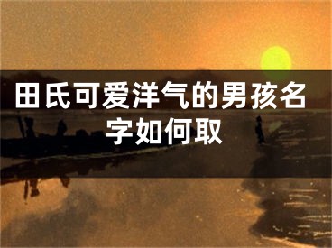 田氏可爱洋气的男孩名字如何取