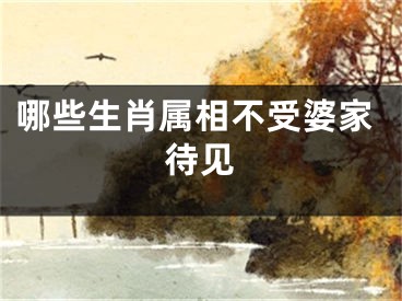 哪些生肖属相不受婆家待见