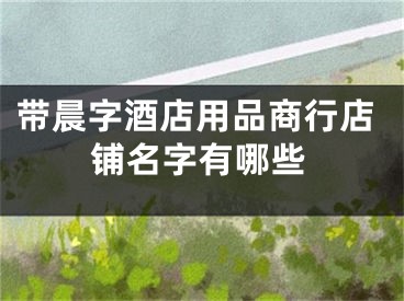 带晨字酒店用品商行店铺名字有哪些