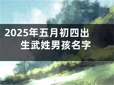 2025年五月初四出生武姓男孩名字