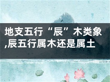 地支五行“辰”木类象,辰五行属木还是属土