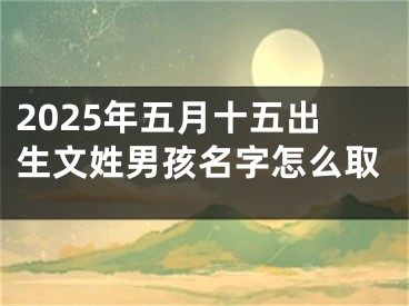 2025年五月十五出生文姓男孩名字怎么取