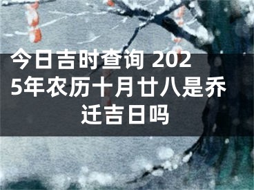 今日吉时查询 2025年农历十月廿八是乔迁吉日吗