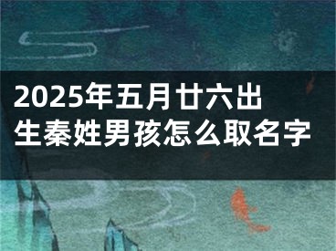 2025年五月廿六出生秦姓男孩怎么取名字