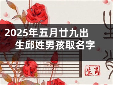 2025年五月廿九出生邱姓男孩取名字