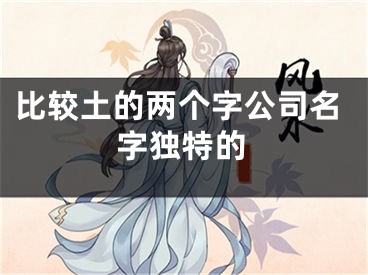 比较土的两个字公司名字独特的