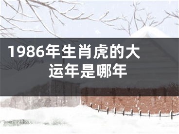 1986年生肖虎的大运年是哪年