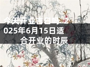 今天开业吉日吗  2025年6月15日适合开业的时辰