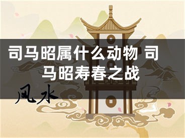 司马昭属什么动物 司马昭寿春之战