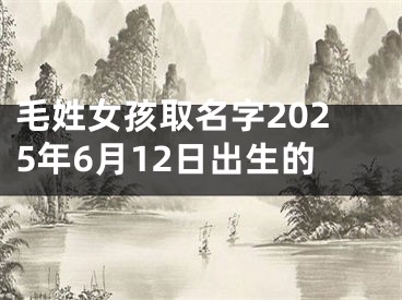 毛姓女孩取名字2025年6月12日出生的