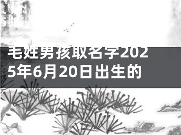 毛姓男孩取名字2025年6月20日出生的