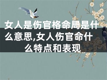女人是伤官格命局是什么意思,女人伤官命什么特点和表现