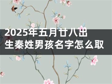 2025年五月廿八出生秦姓男孩名字怎么取
