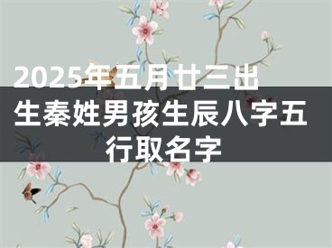 2025年五月廿三出生秦姓男孩生辰八字五行取名字
