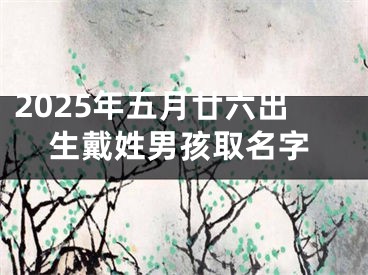 2025年五月廿六出生戴姓男孩取名字