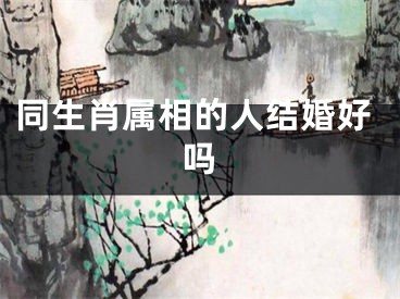 同生肖属相的人结婚好吗