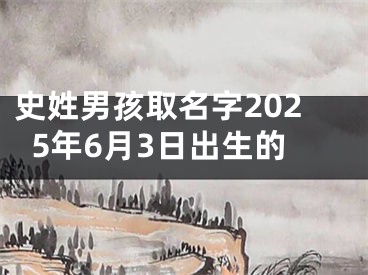 史姓男孩取名字2025年6月3日出生的