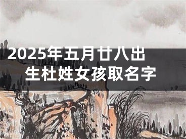 2025年五月廿八出生杜姓女孩取名字