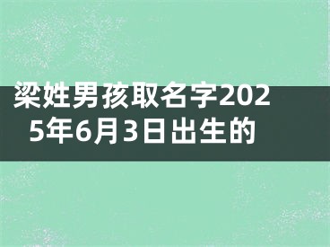梁姓男孩取名字2025年6月3日出生的