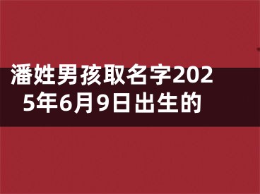 潘姓男孩取名字2025年6月9日出生的