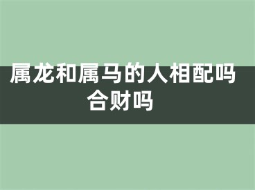 属龙和属马的人相配吗 合财吗