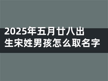 2025年五月廿八出生宋姓男孩怎么取名字