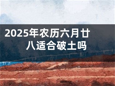 2025年农历六月廿八适合破土吗