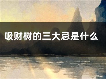 吸财树的三大忌是什么
