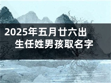 2025年五月廿六出生任姓男孩取名字