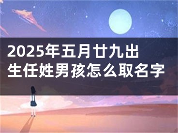 2025年五月廿九出生任姓男孩怎么取名字