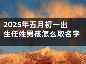 2025年五月初一出生任姓男孩怎么取名字