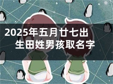 2025年五月廿七出生田姓男孩取名字