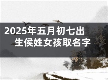 2025年五月初七出生侯姓女孩取名字