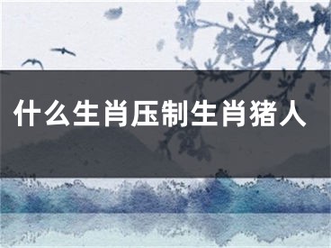 什么生肖压制生肖猪人