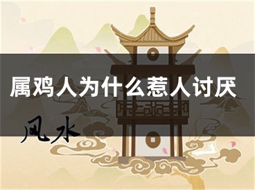 属鸡人为什么惹人讨厌