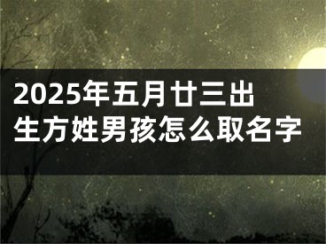 2025年五月廿三出生方姓男孩怎么取名字