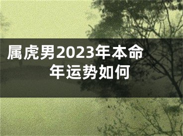 属虎男2023年本命年运势如何