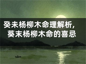 癸未杨柳木命理解析,葵末杨柳木命的喜忌