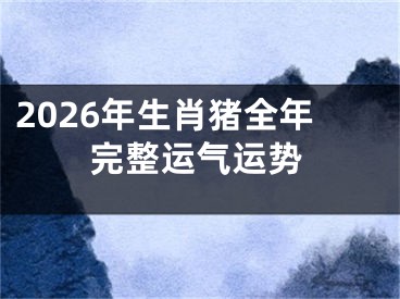 2026年生肖猪全年完整运气运势