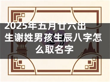 2025年五月廿六出生谢姓男孩生辰八字怎么取名字