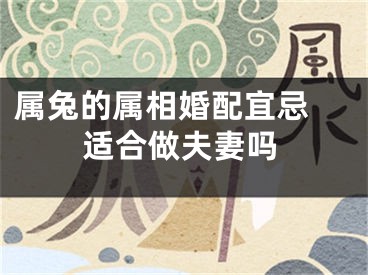 属兔的属相婚配宜忌 适合做夫妻吗