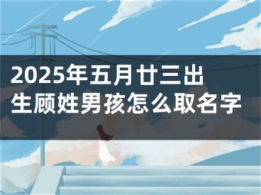 2025年五月廿三出生顾姓男孩怎么取名字