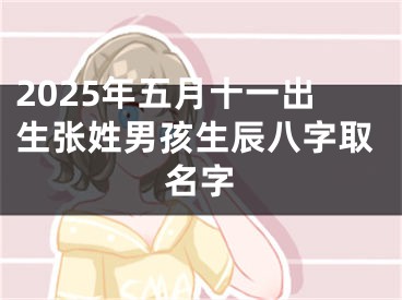 2025年五月十一出生张姓男孩生辰八字取名字
