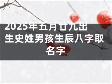 2025年五月廿九出生史姓男孩生辰八字取名字