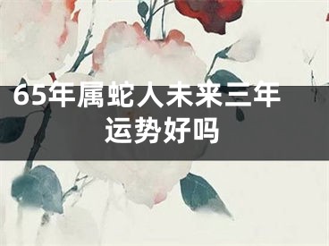 65年属蛇人未来三年运势好吗
