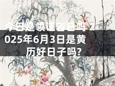 今日是领证吉日吗 2025年6月3日是黄历好日子吗?