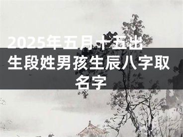 2025年五月十五出生段姓男孩生辰八字取名字