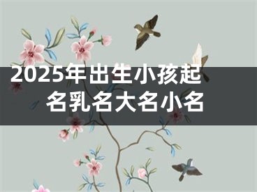 2025年出生小孩起名乳名大名小名