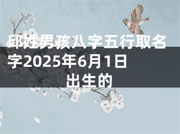 邱姓男孩八字五行取名字2025年6月1日出生的