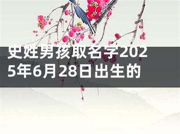 史姓男孩取名字2025年6月28日出生的
